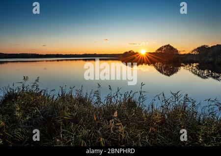 Deutschland, Mecklenburg-Vorpommern, Müritz Nationalpark, Warnker See bei Sonnenuntergang Stockfoto