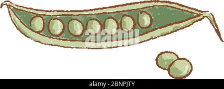 Frische grüne Erbse und Erbsen isoliert Symbol. Feder. Rareripes. hastings vom Bauernmarkt, Vektorgrafik Stock Vektor