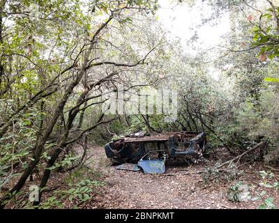 Altes Auto aus den sechziger Jahren des letzten Jahrhunderts verlassen und in einem Wald von Spanien zerstört Stockfoto