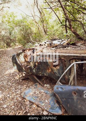 Altes Auto aus den sechziger Jahren des letzten Jahrhunderts verlassen und in einem Wald von Spanien zerstört Stockfoto