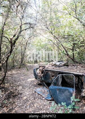 Altes Auto aus den sechziger Jahren des letzten Jahrhunderts verlassen und in einem Wald von Spanien zerstört Stockfoto