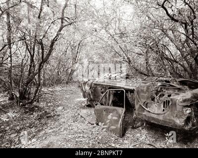 Altes Auto aus den sechziger Jahren des letzten Jahrhunderts verlassen und in einem Wald von Spanien zerstört Stockfoto