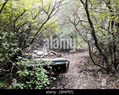 Altes Auto aus den sechziger Jahren des letzten Jahrhunderts verlassen und in einem Wald von Spanien zerstört Stockfoto