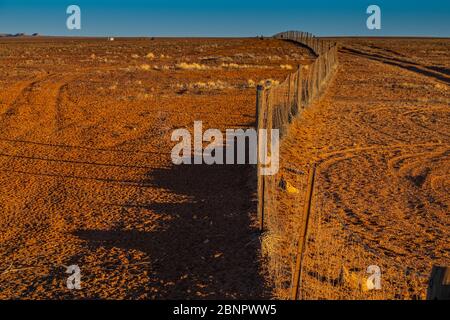 Sehen Sie sich einen Abschnitt des berühmten Dingo Zauns oder Dog Zauns in Coober Pedy, South Australia, Outback an. Stockfoto