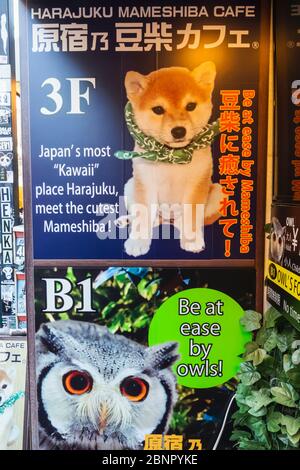 Japan, Honshu, Tokio, Harajuku, Takeshita Dori, Animal Cafe Sign Stockfoto