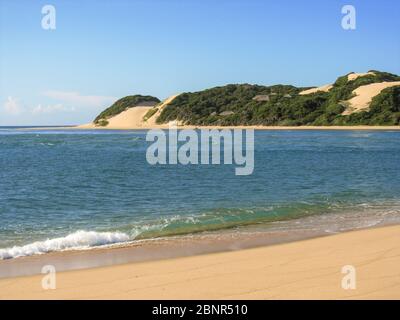 Hohe Dünen der Stranddüne Cordon, die sich entlang der Südküste von Mosambik, wie von KaNyaka Barrier Island gesehen Stockfoto