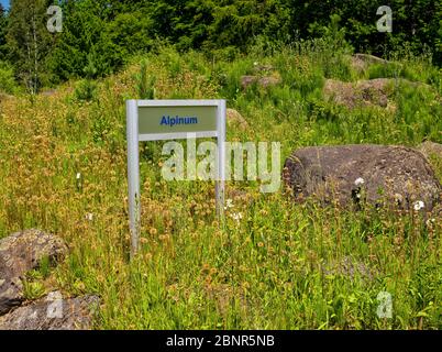 Europa, Deutschland, Hessen, Marburg, Botanischer Garten der Philipps-Universität, Alpengarten Stockfoto