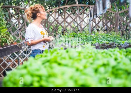 Menschen und Gartenbau Aktivität in der Natur - Speichern und Laden von Pflanzen zu kochen oder home design Innen- Konzept der Frau und grüne Natur Garten Stockfoto