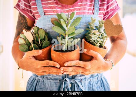 Haus Hausfrau kaukasischen Erwachsenen Frau mit drei tropischen Pflanzen - Gartenarbeit und Arbeit für Menschen, die Natur liebt - Konzept von Garten und Inneneinrichtung - Wokring in Garten Shop Geschäft Stockfoto