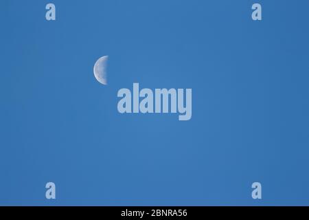 Mond Mond Mond / Luna am blauen Himmel. Halber Mondmond in einem klaren Tageslicht Himmel. Erde Mond Mond Mond am Tag mit Copy Raum für Text. Luna am Himmel Stockfoto