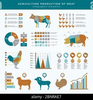 Landwirtschaft Landwirtschaft Infografik. Lebensmittel Tiere Bauernhof Technologie Ernährung Geschäft Infografik Vorlage Tabelle Diagramm mit Platz für Text Stock Vektor