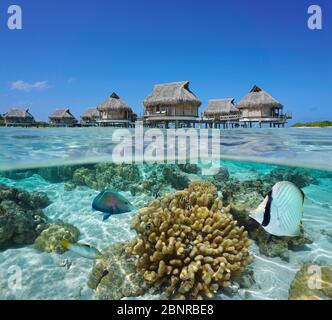 Tropische Bungalows über Wasser und Fisch mit Korallen unter Wasser, Split-Blick über und unter Wasser Oberfläche, Französisch Polynesien, Pazifik, Ozeanien Stockfoto
