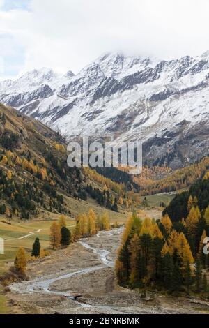 Schneebedeckte Berge und herbstliche Wälder im Obervinschgau Stockfoto