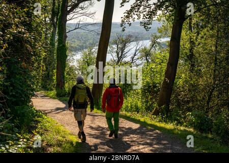 Wandern auf dem Baldeney Steig, einem Wanderweg rund um den Baldeney See in Essen, einem Ruhrgebiet, über die Ruhrhöhen, Essen, NRW, Deutschland Stockfoto