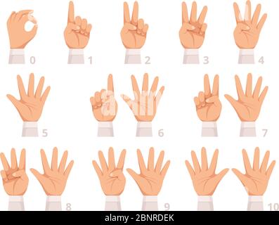 Handgestenzahlen. Menschliche Handfläche und Finger zeigen verschiedene Zahlen Vektor Cartoon Illustration Stock Vektor