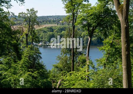 Wandern auf dem Baldeney Steig, einem Wanderweg rund um den Baldeney See in Essen, einem Ruhrgebiet, über die Ruhrhöhen, Essen, NRW, Deutschland Stockfoto