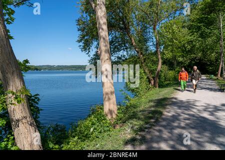 Wandern auf dem Baldeney Steig, einem Wanderweg rund um den Baldeney See in Essen, einem Ruhrgebiet, über die Ruhrhöhen, Essen, NRW, Deutschland Stockfoto