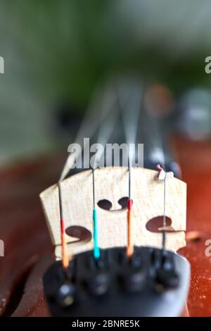 Detail der Violine. Selektiver Fokus mit geringer Schärfentiefe Stockfoto