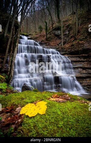 Nationalpark Foreste Casentinesi, Badia Prataglia, Toskana, Italien, Europa. Der Wasserfall Callad Le tre cascate. Stockfoto