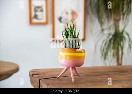 Kaktus in einem handgefertigten Keramiktopf auf einem Holztisch im Wohnzimmer Stockfoto