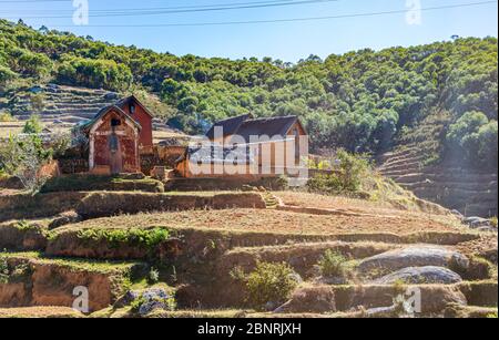 Schlammstroh und Holzhütte mit Strohdach im Busch Stockfoto