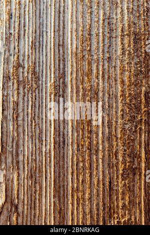 Dunkle raue Holzoberfläche Textur Stockfoto