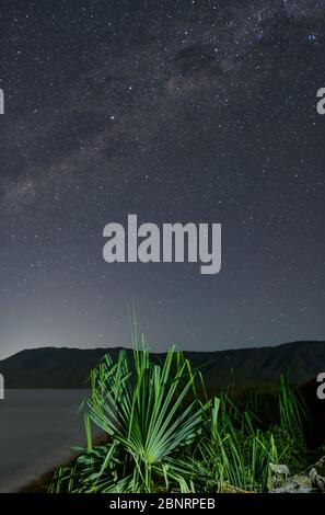 Milky Way landschaftlich reizvoll vom Rex Lookout in Cairns, im Norden von Queensland mit hell bemaltem Pandanus Palmenwedel und mondbeleuchteter Strandbucht. Stockfoto