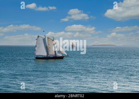 Weiße Segel mit roten Segeln am Horizont Stockfoto