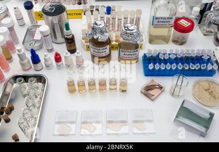 Proben mit Clostridium Botulinum Toxin kontaminiert, die Botulismus beim Menschen verursacht, Laborforschung, konzeptionelles Bild Stockfoto