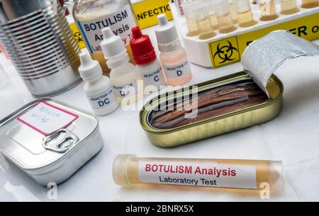 Proben mit Clostridium Botulinum Toxin kontaminiert, die Botulismus beim Menschen verursacht, Laborforschung, konzeptionelles Bild Stockfoto