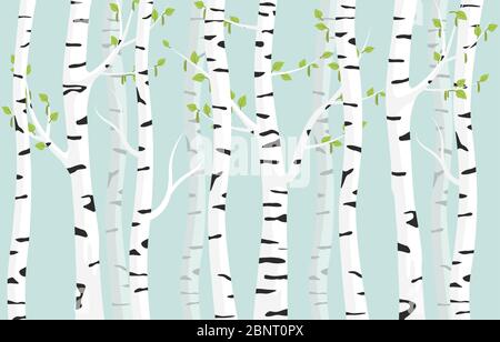 Birkenwald Hintergrund. Frühling Birke grün junge Blätter fleckige Rinde auf Baum. Stock Vektor