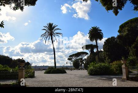 Palme auf der Balconata del Pincio im Park der Villa Borghese in der Stadt Rom, Italien Stockfoto