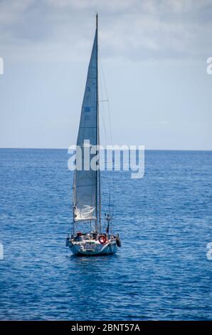 Kanarische Inseln, Teneriffa Oktober 2013 Stockfoto