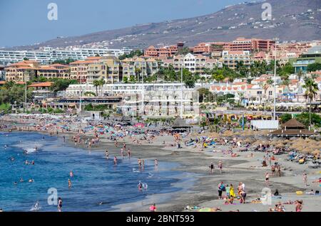 Kanarische Inseln, Teneriffa Oktober 2013 Stockfoto