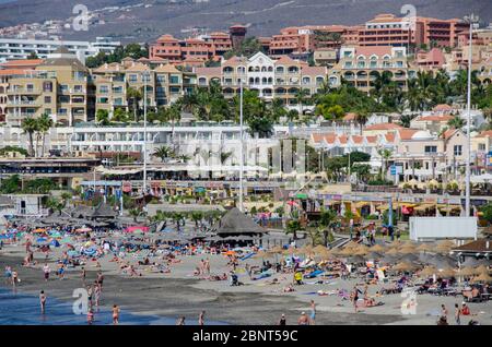 Kanarische Inseln, Teneriffa Oktober 2013 Stockfoto