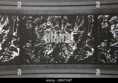 Feine 70er Jahre Vintage Kontakt Print schwarz-weiß extreme Fotografie eines abstrakten Stockfoto