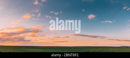 Frühjahr Sonnenuntergang Himmel Landschaft ländlichen Wiese Landschaft. Weizenfeld unter sonnigen Frühling Himmel. Skyline. Landwirtschaftliche Landschaft mit wachsenden Grün Sie Stockfoto