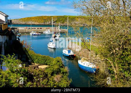 Cemaes Bay Inner Harbor auf Anglesey Stockfoto