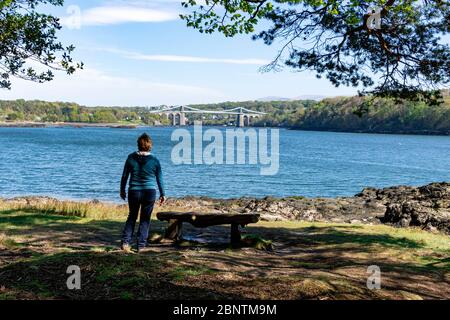 Blick durch die Bäume die Menai Straits vom Anglesey Coastal Pfad hinunter in Richtung der Menai Hängebrücke Stockfoto