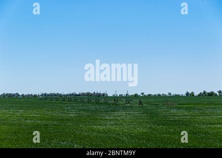 Auf einem grünen Feld stehende Sprinkler für die Landwirtschaft. Bewässerungssystem im Feld. Stockfoto