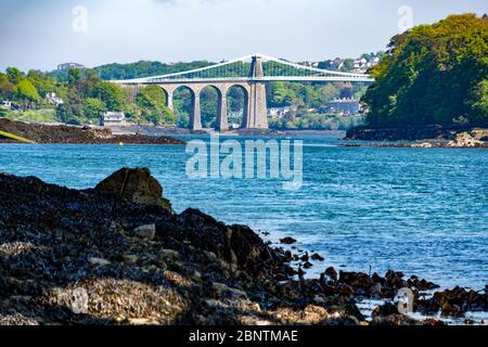 Blick vom Ufer auf die Menai Straits vom Anglesey Coastal Pfad in Richtung Menai Hängebrücke Stockfoto