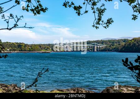 Blick durch die Bäume die Menai Straits vom Anglesey Coastal Pfad hinunter zur Menai Hängebrücke Stockfoto