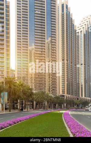 Sonnenaufgang zwischen hohen Gebäuden. Rosa Blumen entlang der Straße. Stockfoto