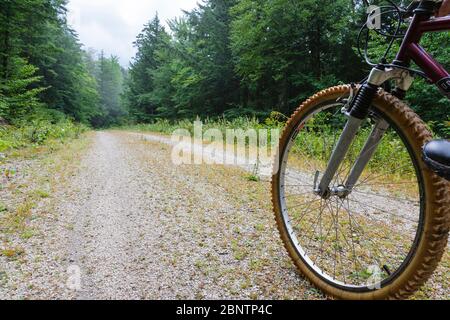 Mann Radfahren auf Rob Brook Road in Albany, New Hampshire USA. Diese unbefestigte Straße folgt Teilen der alten Bartlett und Albany Railroad, die ein Holzfäller ra war Stockfoto