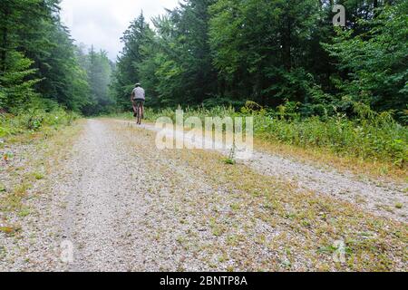 Mann Radfahren auf Rob Brook Road in Albany, New Hampshire USA. Diese unbefestigte Straße folgt Teilen der alten Bartlett und Albany Railroad, die ein Holzfäller ra war Stockfoto