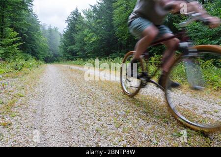 Mann Radfahren auf Rob Brook Road in Albany, New Hampshire USA. Diese unbefestigte Straße folgt Teilen der alten Bartlett und Albany Railroad, die ein Holzfäller ra war Stockfoto