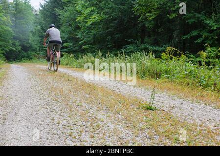 Mann Radfahren auf Rob Brook Road in Albany, New Hampshire USA. Diese unbefestigte Straße folgt Teilen der alten Bartlett und Albany Railroad, die ein Holzfäller ra war Stockfoto