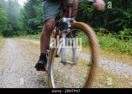 Mann Radfahren auf Rob Brook Road in Albany, New Hampshire USA. Diese unbefestigte Straße folgt Teilen der alten Bartlett und Albany Railroad, die ein Holzfäller ra war Stockfoto