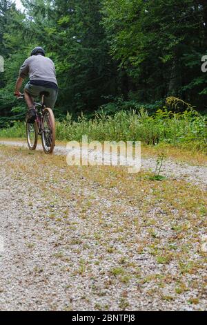 Mann Radfahren auf Rob Brook Road in Albany, New Hampshire USA. Diese unbefestigte Straße folgt Teilen der alten Bartlett und Albany Railroad, die ein Holzfäller ra war Stockfoto