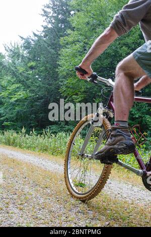 Mann Radfahren auf Rob Brook Road in Albany, New Hampshire USA. Diese unbefestigte Straße folgt Teilen der alten Bartlett und Albany Railroad, die ein Holzfäller ra war Stockfoto